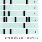 Love Follow Conquer T-Shirts Liverpool DNA = Trophies Timeline white t-shirt