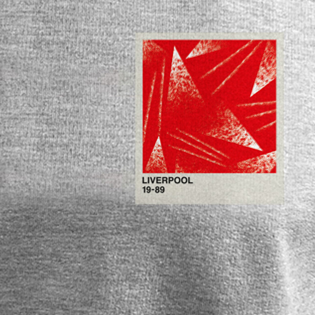 Liverpool Retro 1989 Sweatshirt grey
